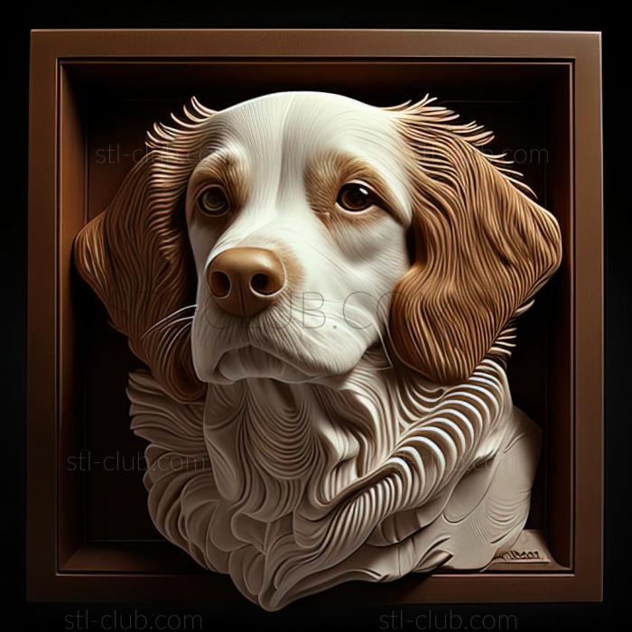 st Koikerhondje dog